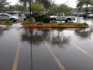 Arizona Trail Tag 11