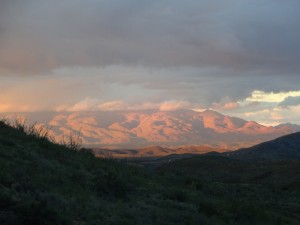 Arizona Trail Tag 12