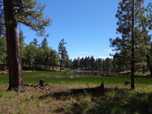 Arizona Trail Tag 6
