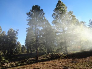 Arizona Trail Tag 7