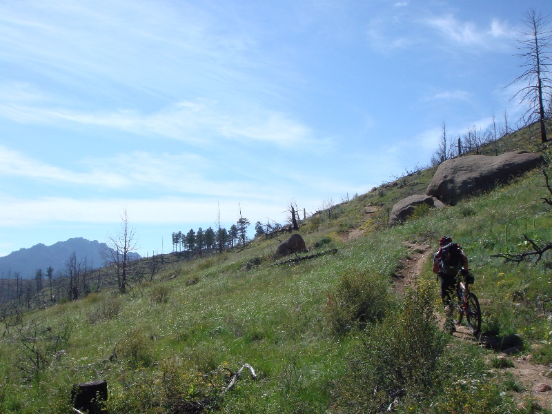 ColoradoTrail2006 (11).JPG