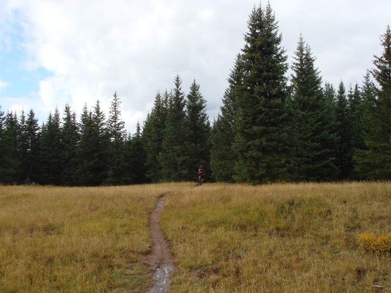 ColoradoTrail2006 (119).JPG