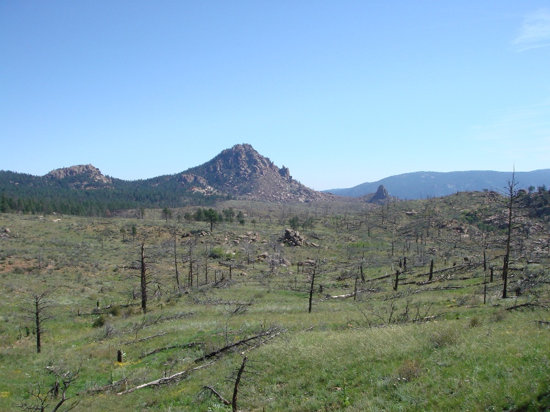 ColoradoTrail2006 (12).JPG