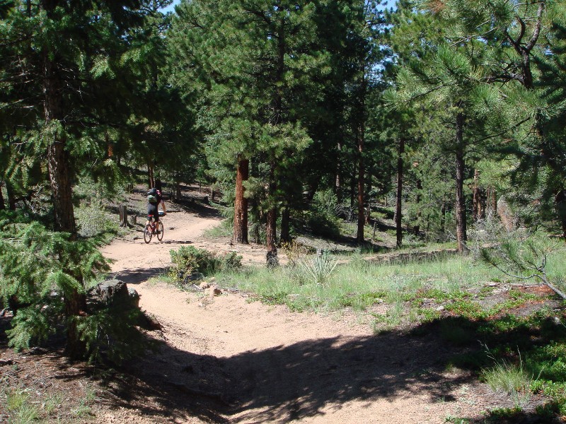 ColoradoTrail2006 (13).JPG
