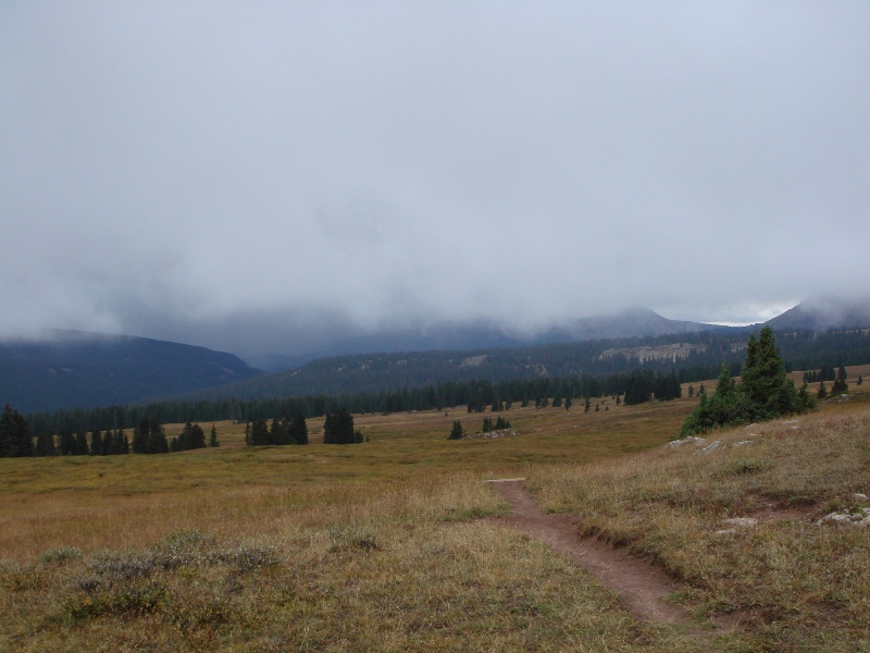 ColoradoTrail2006 (133).JPG