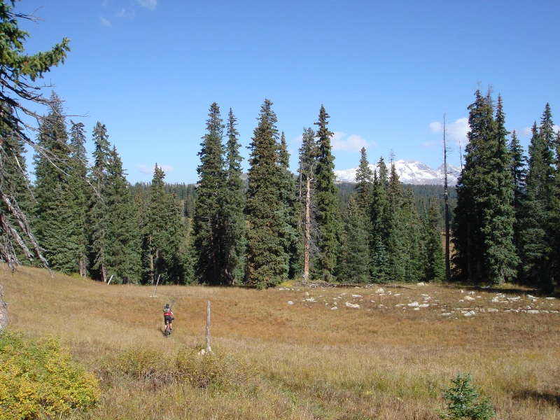 ColoradoTrail2006 (144).JPG