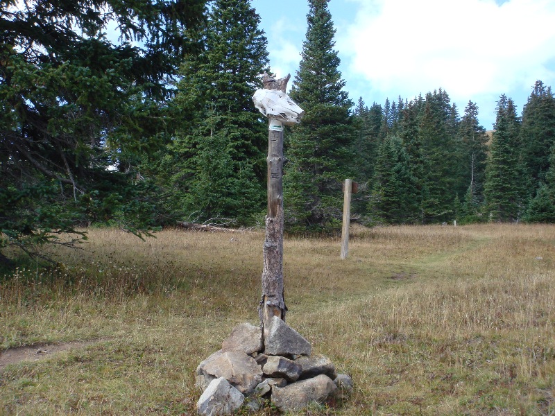 ColoradoTrail2006 (147).JPG