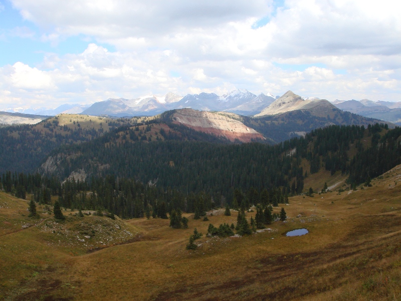 ColoradoTrail2006 (149).JPG