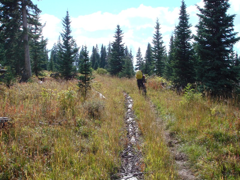 ColoradoTrail2006 (158).JPG