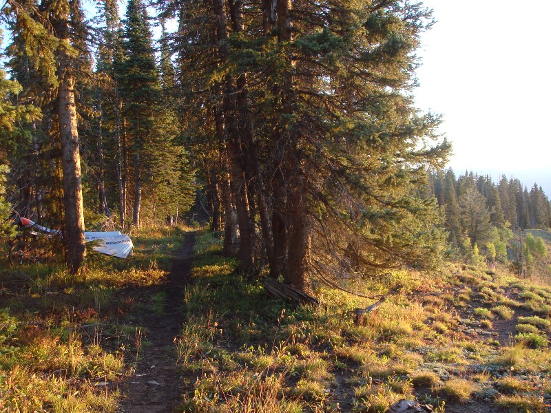 ColoradoTrail2006 (164).JPG