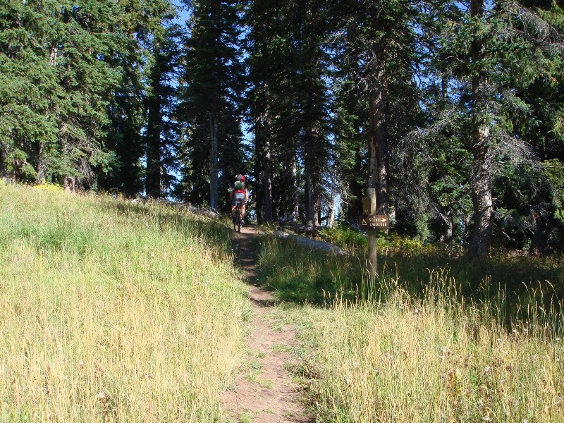 ColoradoTrail2006 (166).JPG
