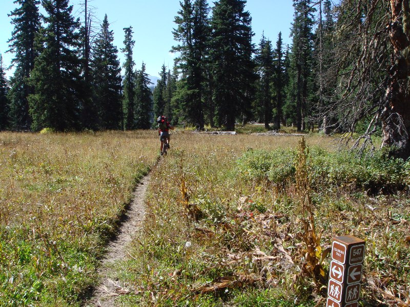 ColoradoTrail2006 (167).JPG