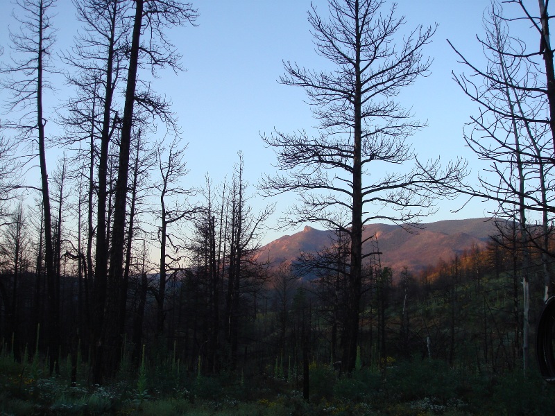 ColoradoTrail2006 (17).JPG