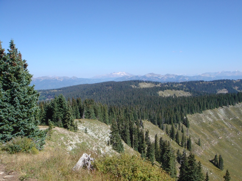 ColoradoTrail2006 (171).JPG