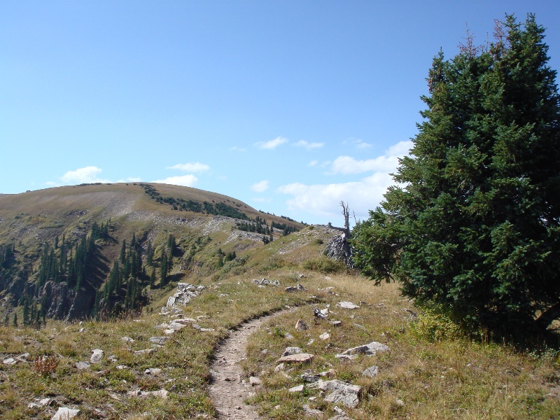 ColoradoTrail2006 (174).JPG