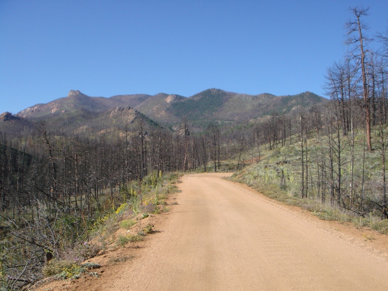 ColoradoTrail2006 (19).JPG