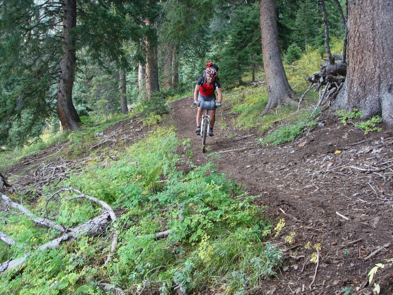 ColoradoTrail2006 (194).JPG