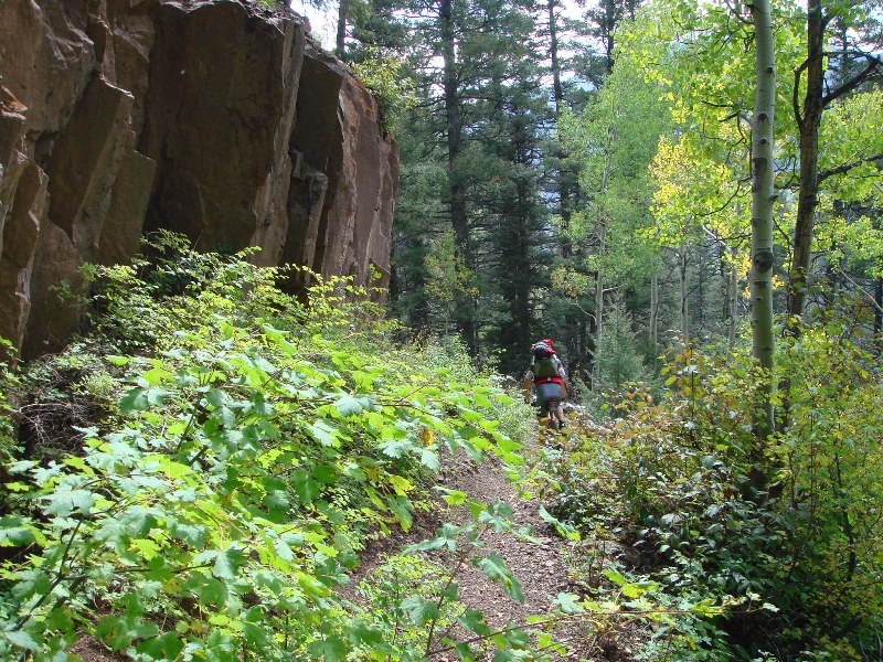ColoradoTrail2006 (196).JPG