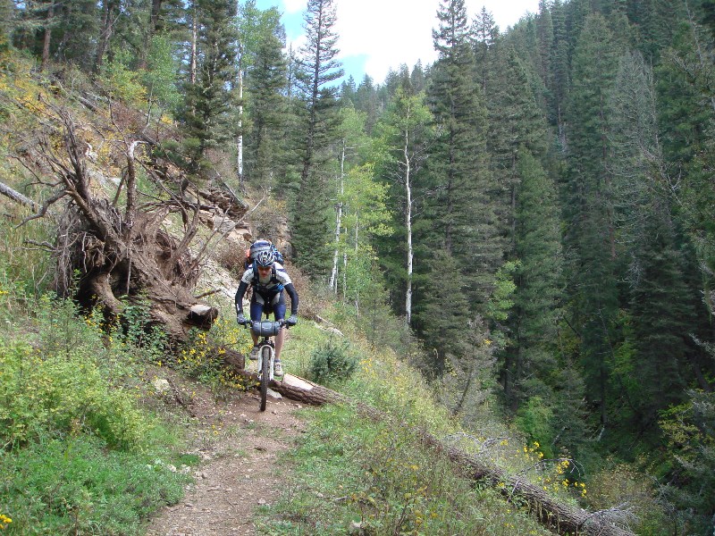 ColoradoTrail2006 (199).JPG