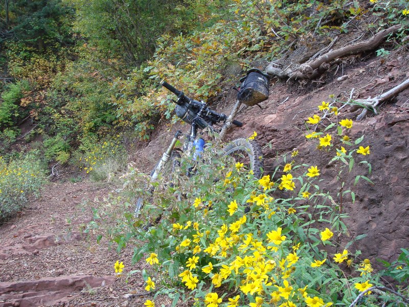 ColoradoTrail2006 (203).JPG