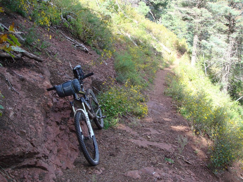 ColoradoTrail2006 (204).JPG