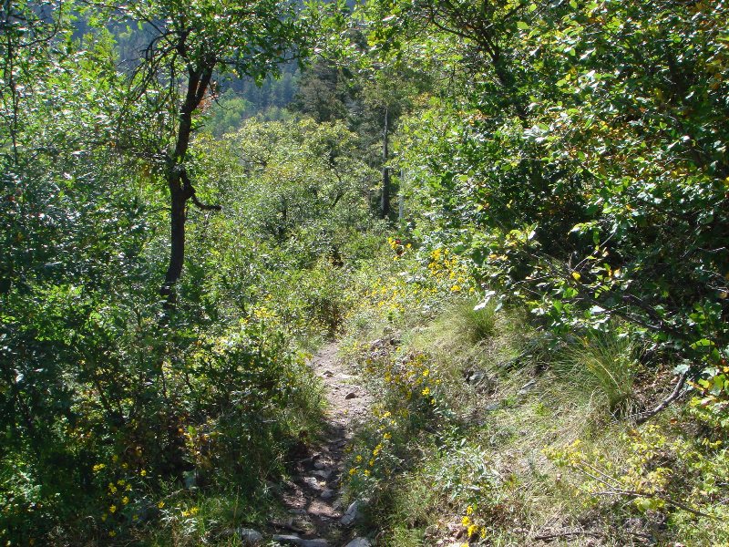 ColoradoTrail2006 (205).JPG