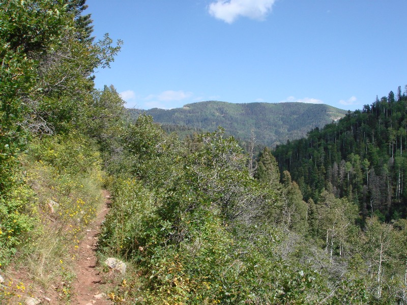 ColoradoTrail2006 (206).JPG