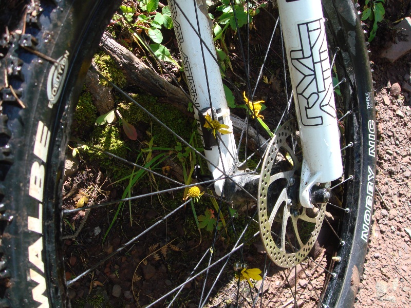 ColoradoTrail2006 (207).JPG