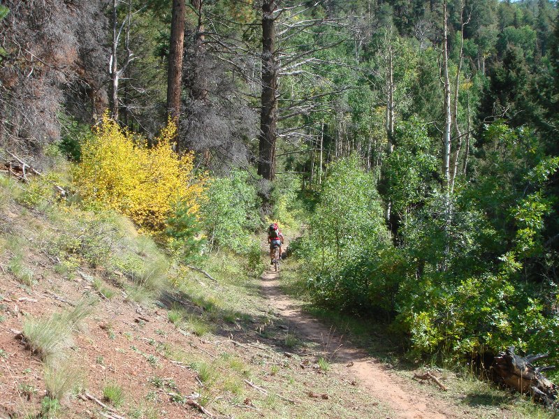 ColoradoTrail2006 (208).JPG