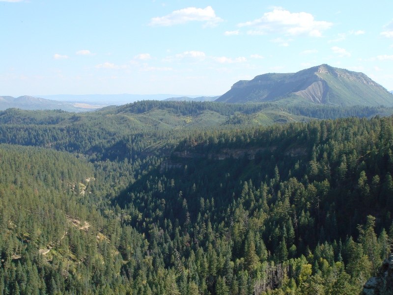 ColoradoTrail2006 (213).JPG