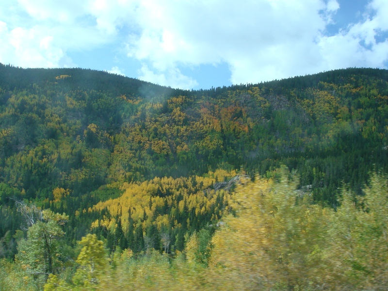 ColoradoTrail2006 (215).JPG