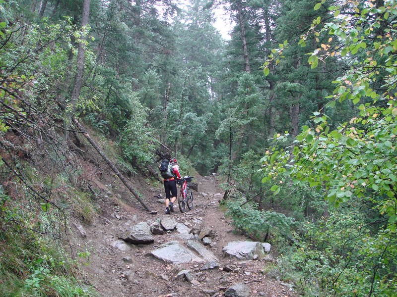 ColoradoTrail2006 (3).JPG