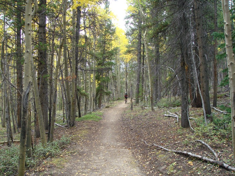 ColoradoTrail2006 (41).JPG