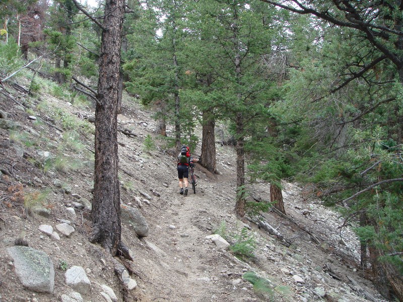 ColoradoTrail2006 (46).JPG