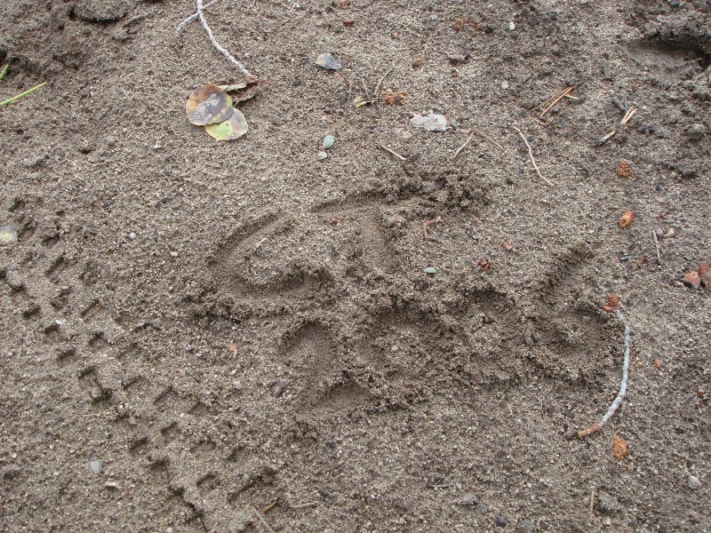 ColoradoTrail2006 (47).JPG