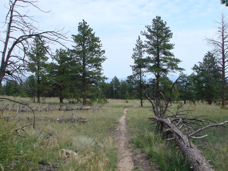 ColoradoTrail2006 (50).JPG