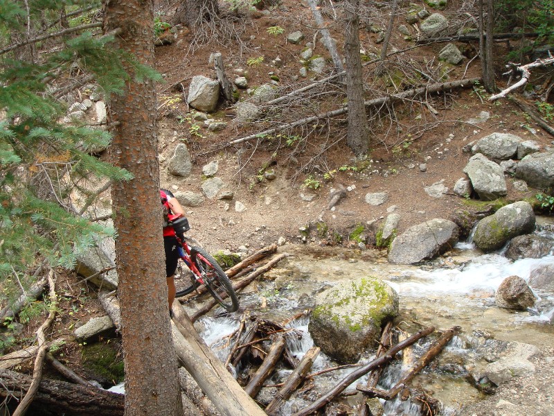 ColoradoTrail2006 (59).JPG