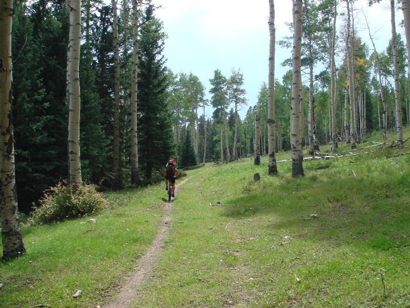ColoradoTrail2006 (60).JPG