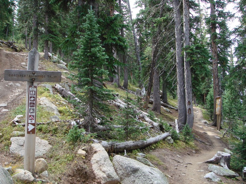 ColoradoTrail2006 (65).JPG