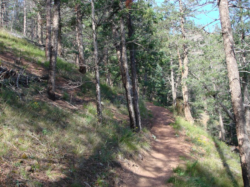 ColoradoTrail2006 (7).JPG