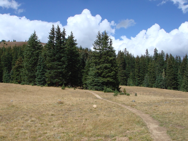 ColoradoTrail2006 (80).JPG