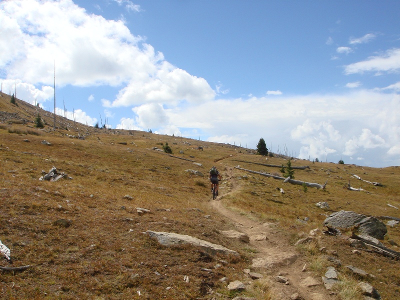 ColoradoTrail2006 (81).JPG