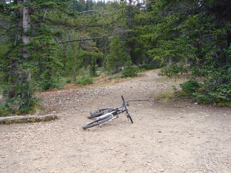 ColoradoTrail2006 (92).JPG