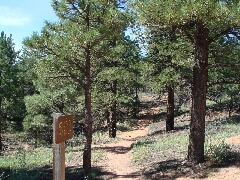 ColoradoTrail2006 (10).JPG