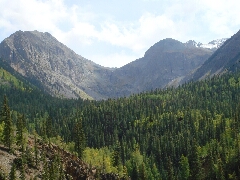 ColoradoTrail2006 (104).JPG