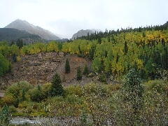 ColoradoTrail2006 (110).JPG