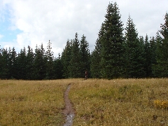 ColoradoTrail2006 (119).JPG