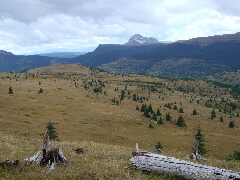 ColoradoTrail2006 (121).JPG