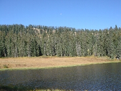 ColoradoTrail2006 (140).JPG