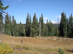 ColoradoTrail2006 (144).JPG